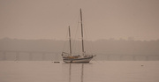 13th Oct 2023 - Sailboat on the River!
