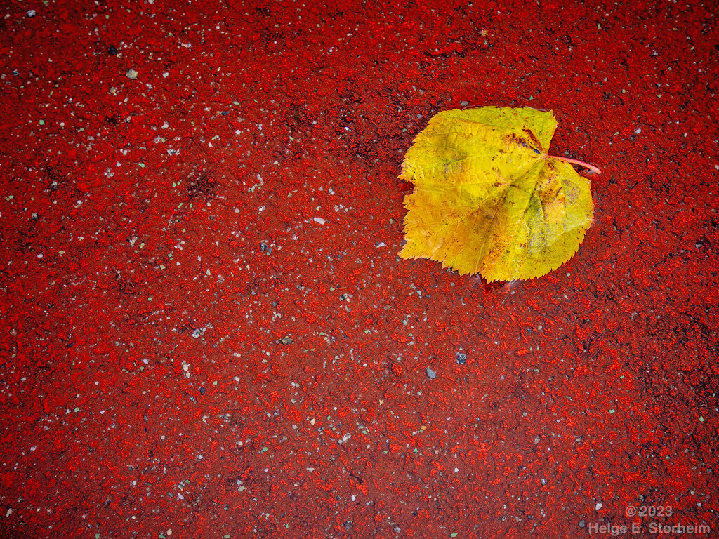 Autumnal minimalism by helstor365