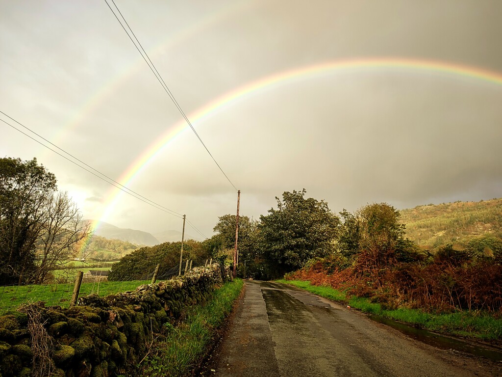 Cumbrian Autumn Days  by countrylassie