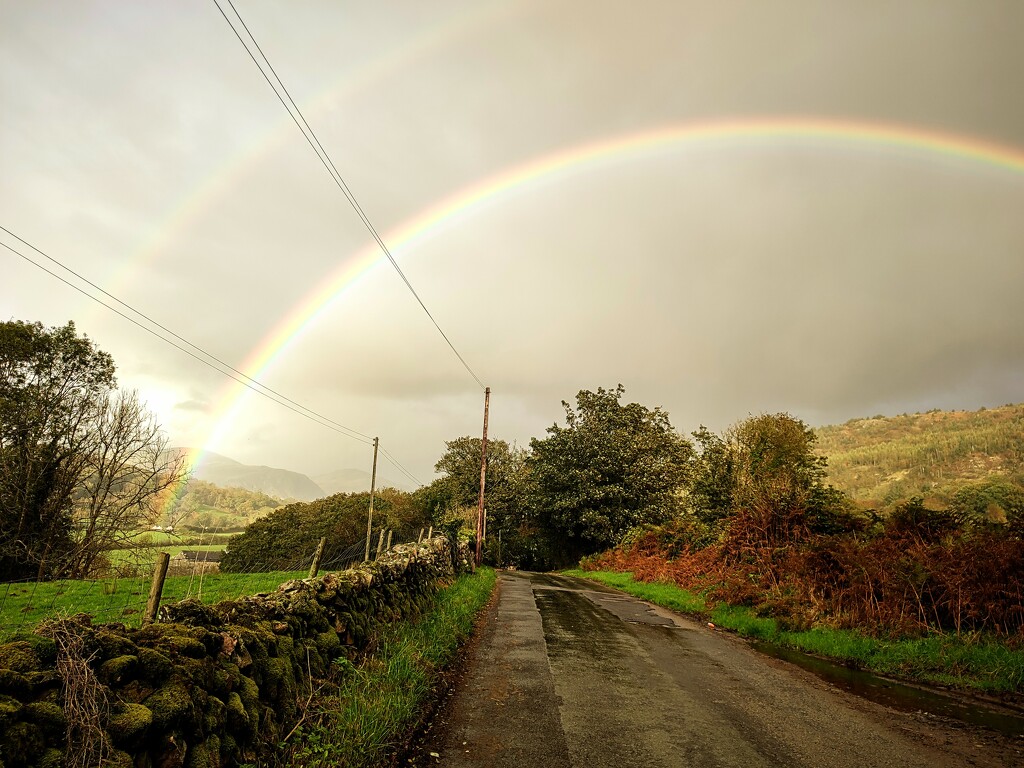 Cumbrian Autumn Days  by countrylassie