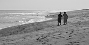 13th Oct 2023 - Beach Walk