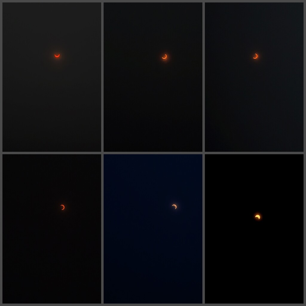 Solar Eclipse! by njmom3