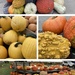 Pumpkins Galore  by illinilass