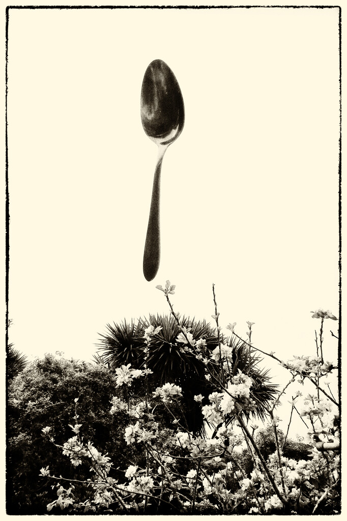 apple blossom spoon by kali66