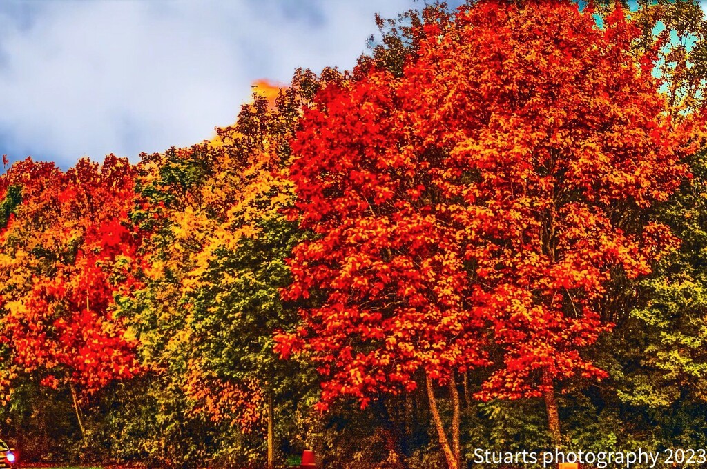 Autumnal  by stuart46
