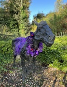 14th Oct 2023 - ‘Fluffy the Oss’ decked out for Halloween 