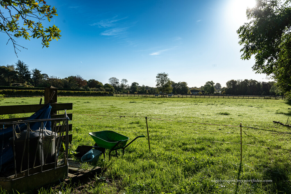 Morning light on our neighbouring field by nigelrogers