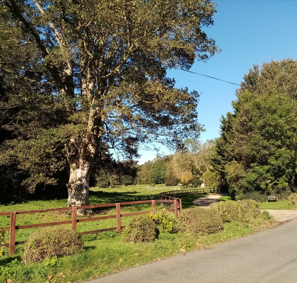 Rural England  by g3xbm