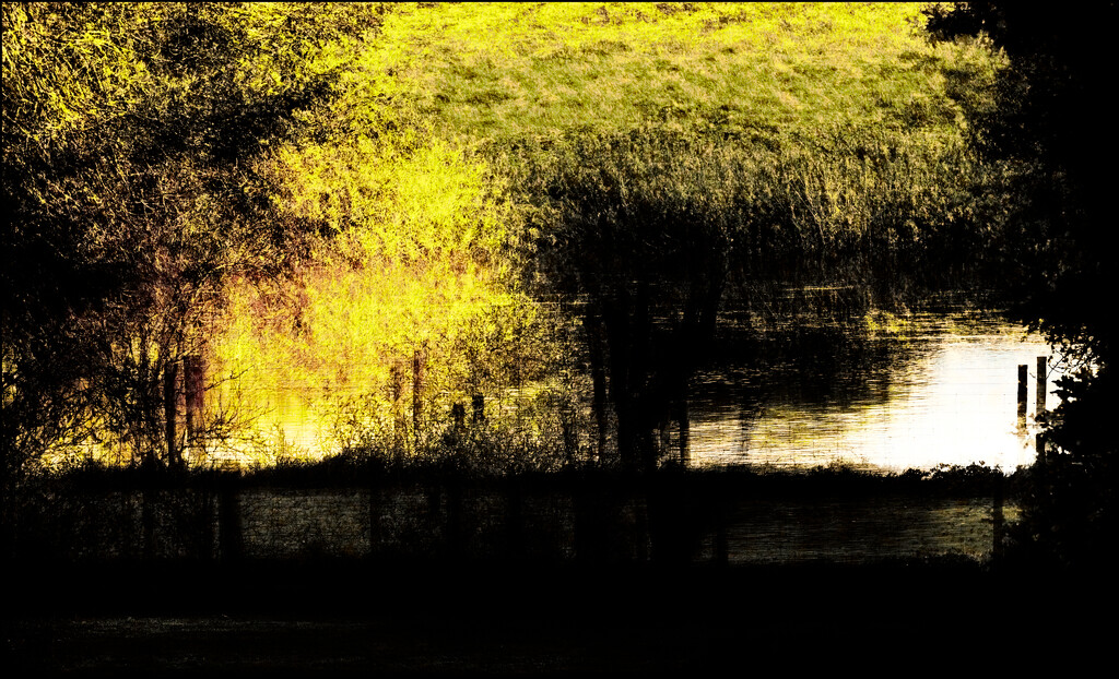 15 - Autumnal Tranquility by marshwader