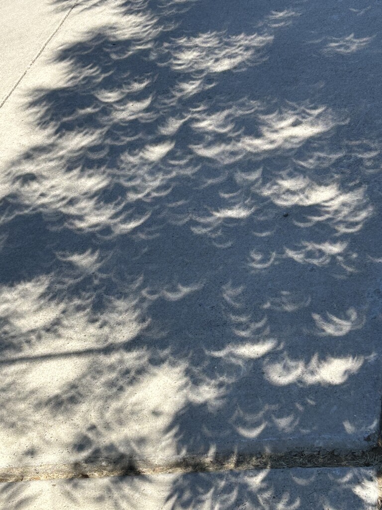 Eclipse shadows  by bellasmom