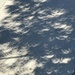 Eclipse shadows  by bellasmom