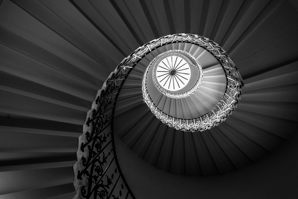 Tulip Stairs by kwind