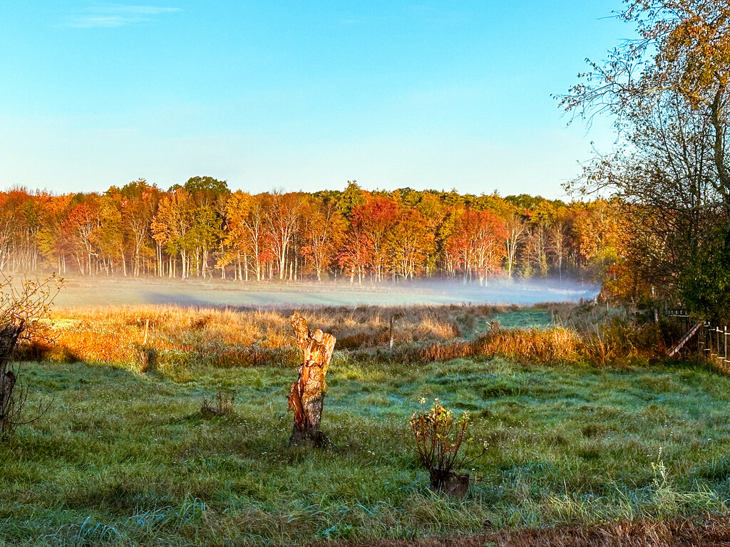 Mist and autumn fields by joansmor