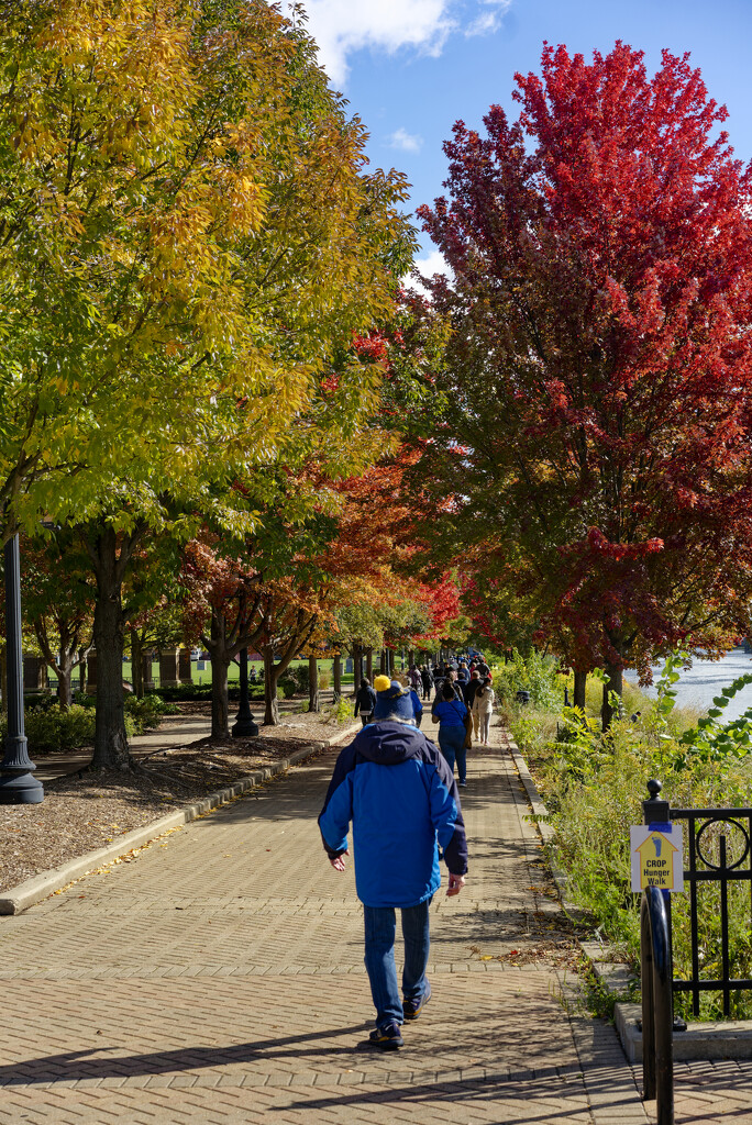 Walkway by rminer