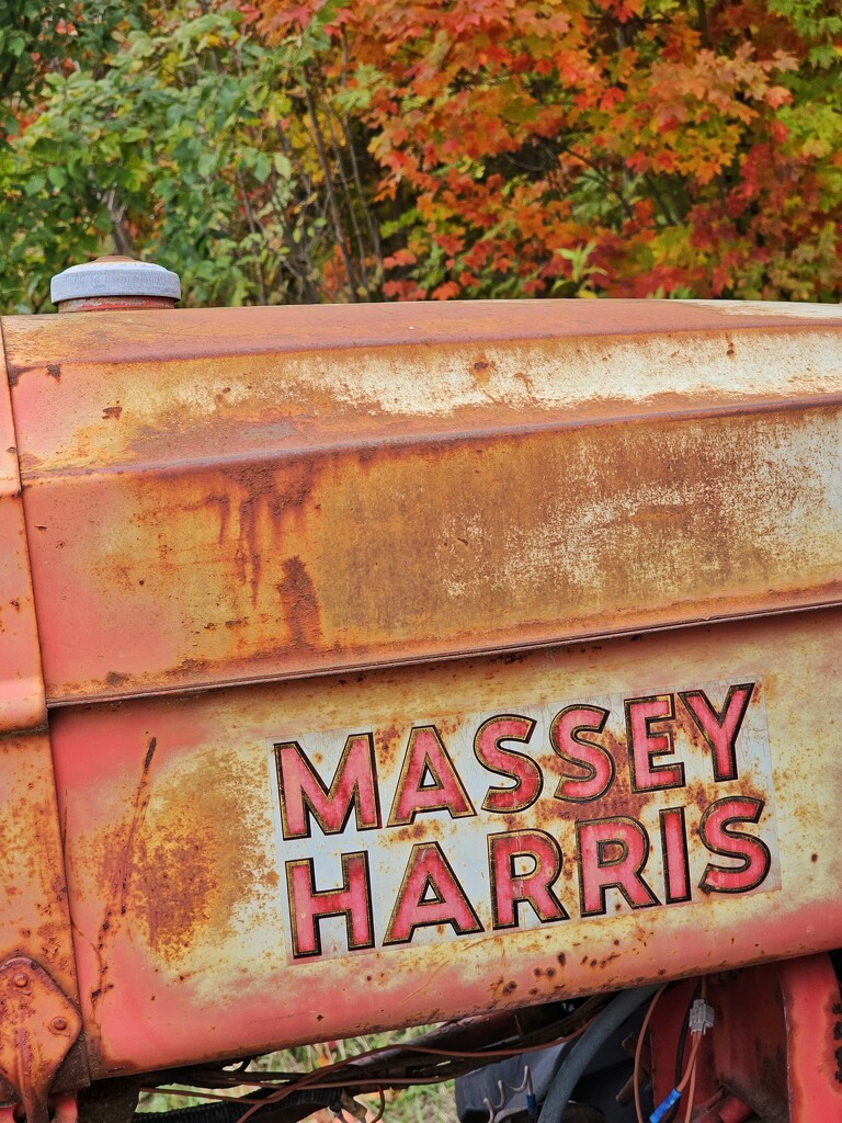 Massey Harris by edorreandresen