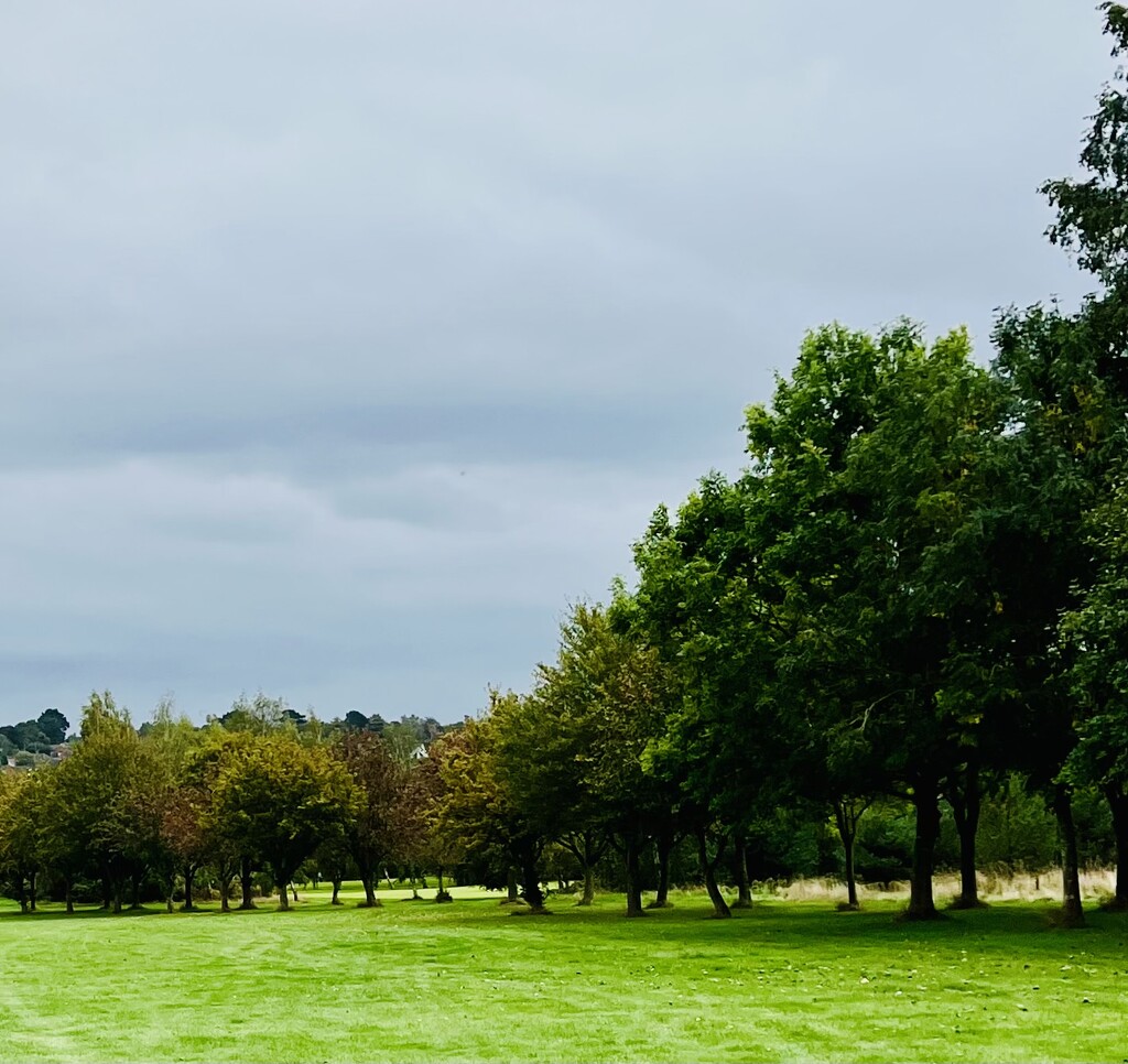 Cloudy but warm day on the golf course... by anne2013