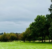 2nd Oct 2023 - Cloudy but warm day on the golf course...