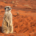 Namibia extras 1 by nigelrogers