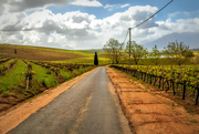 16th Oct 2023 - Roads in the winelands