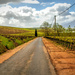 Roads in the winelands by ludwigsdiana