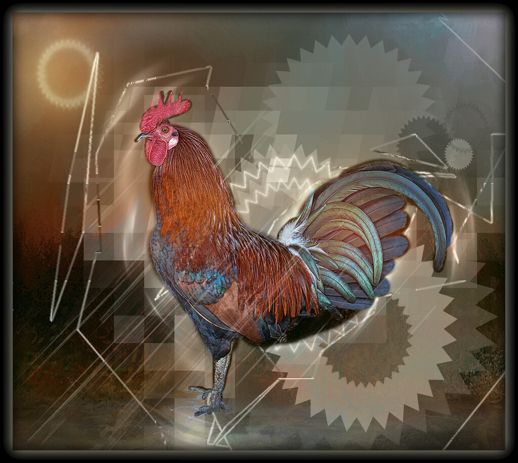 Rusty Rooster  by gardencat