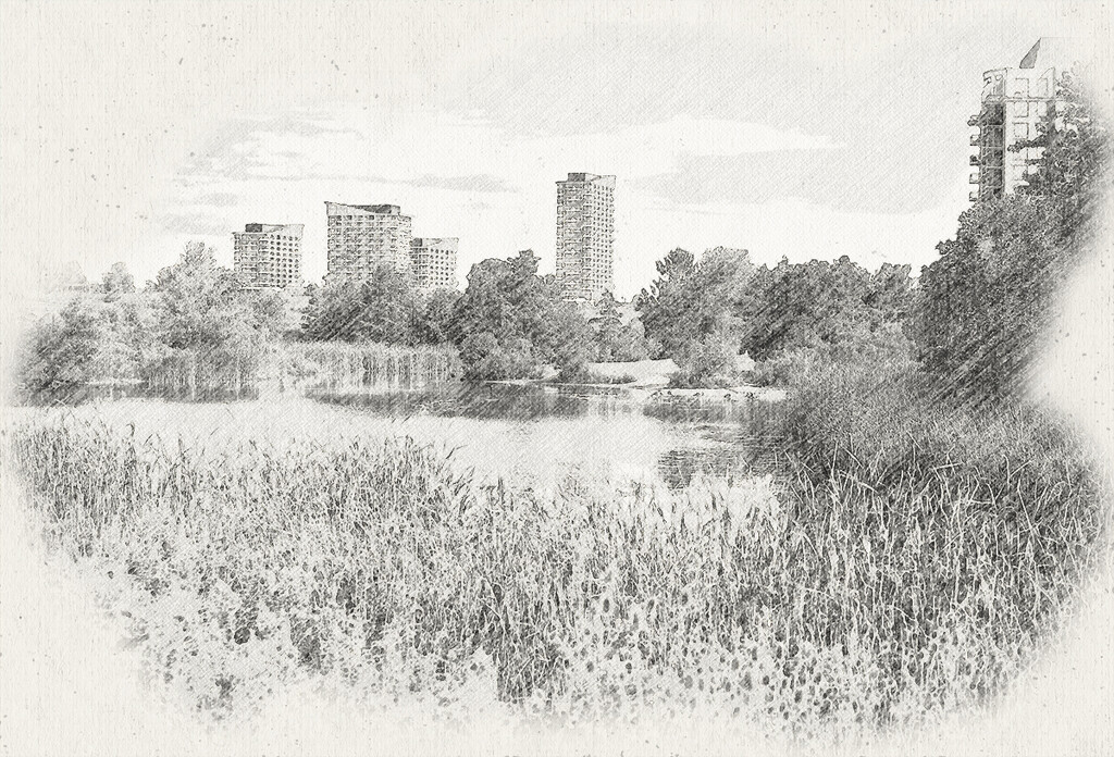 Pond Overlook by gardencat