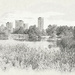 Pond Overlook by gardencat