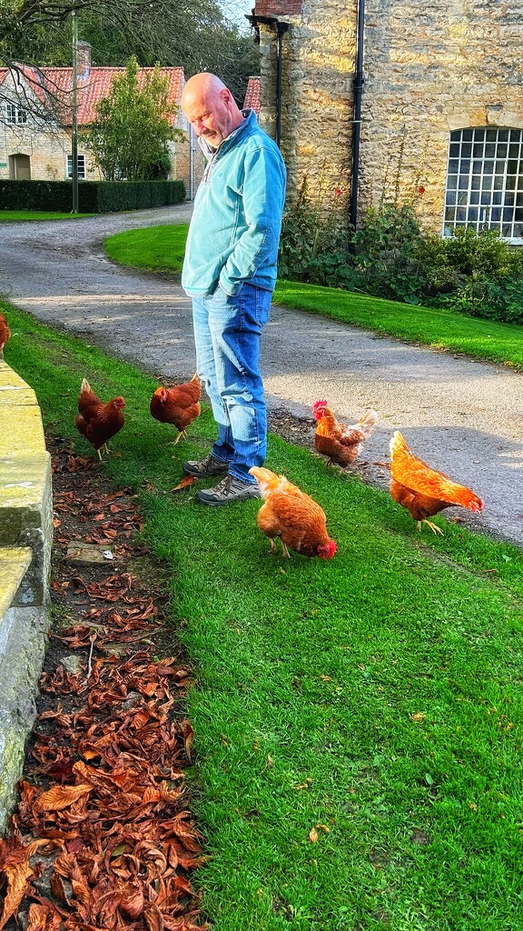 Chicken Whisperer by carole_sandford