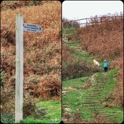 16th Oct 2023 - Cleveland Way