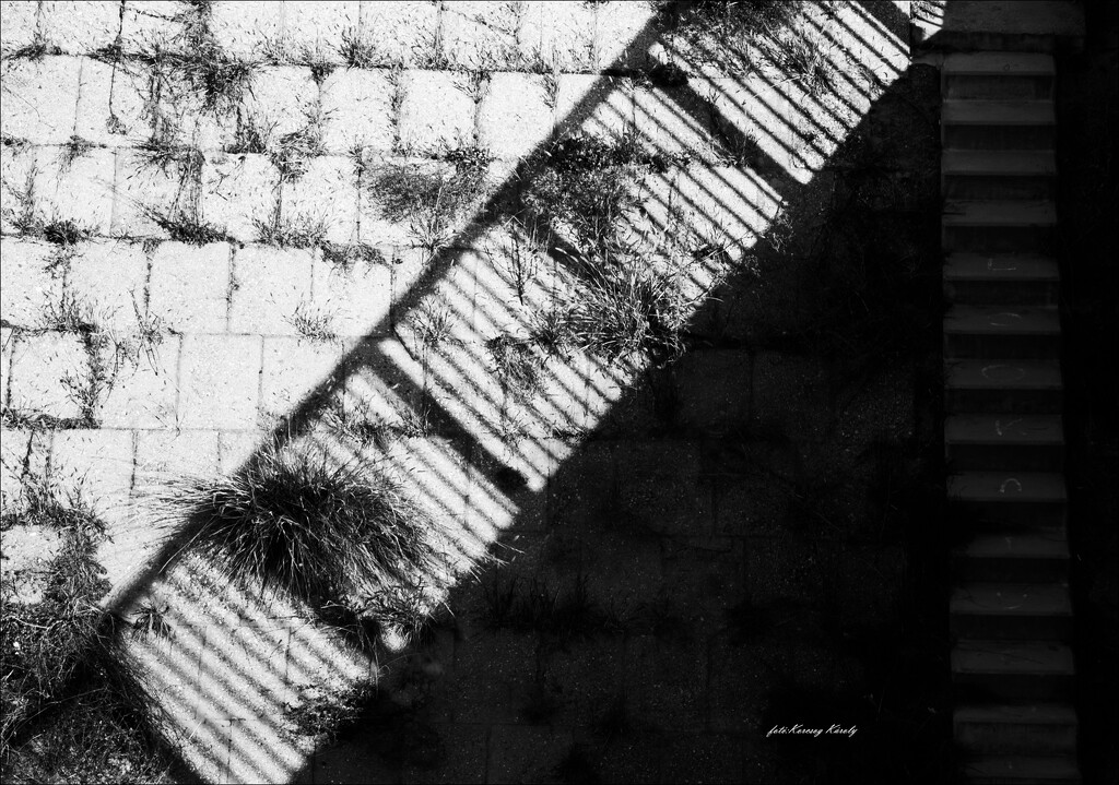 The shadow of the bridge's railing... by kork
