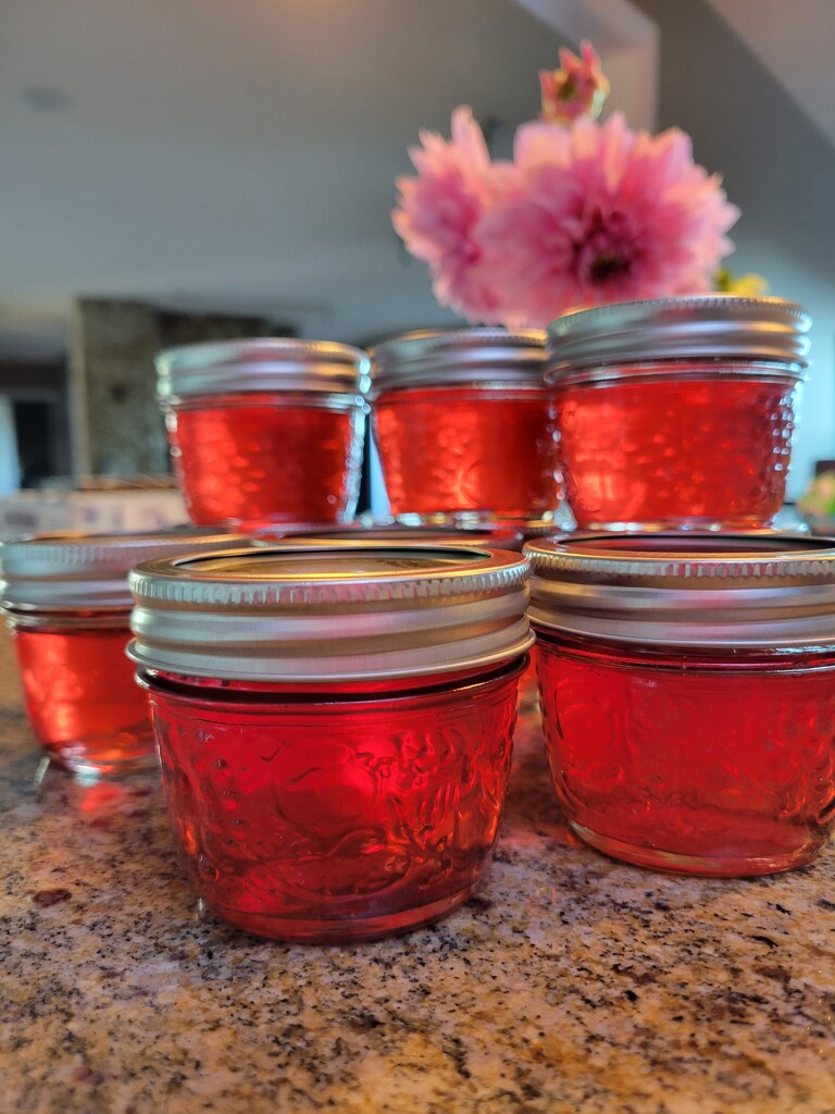 Fire and Ice Hot Pepper Apple Jelly by kimmer50