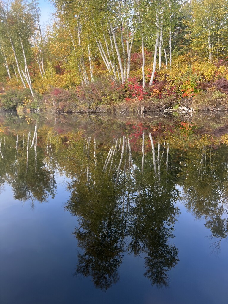 Fall Reflections  by radiogirl