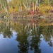 Fall Reflections  by radiogirl