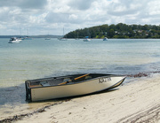 17th Oct 2023 - Beached Or Just Visitors?