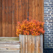 Bricks, wood and plant by helstor365