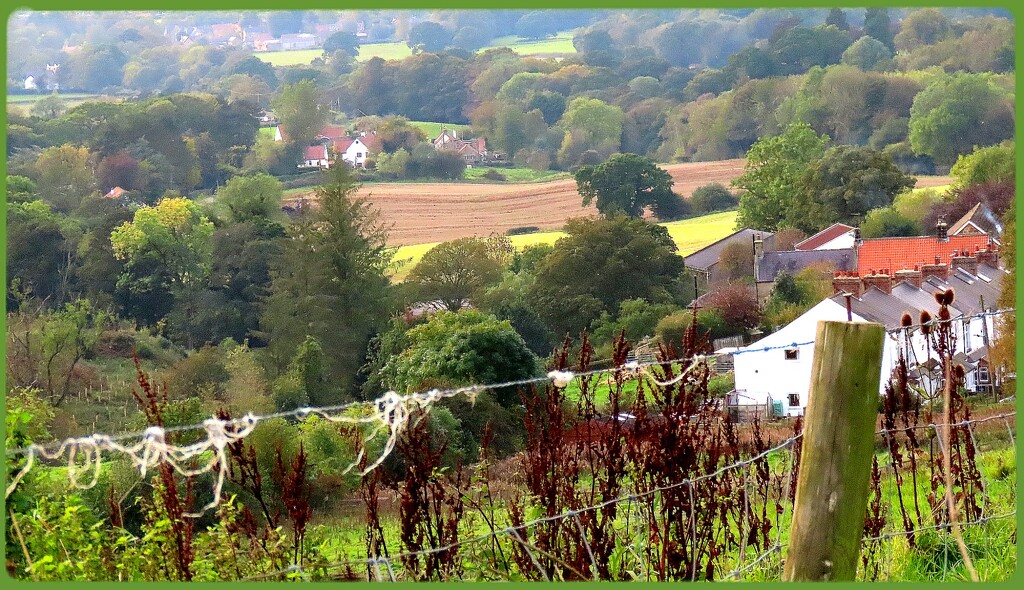 Overlooking Gribdale by craftymeg