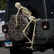 17th Oct 2023 - skeleton
