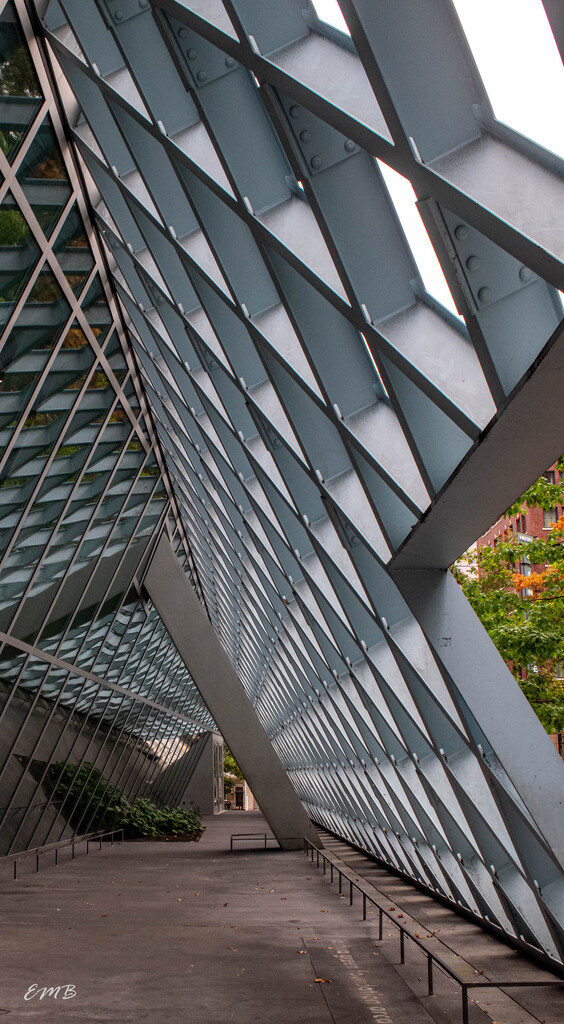 Seattle Public Library by theredcamera