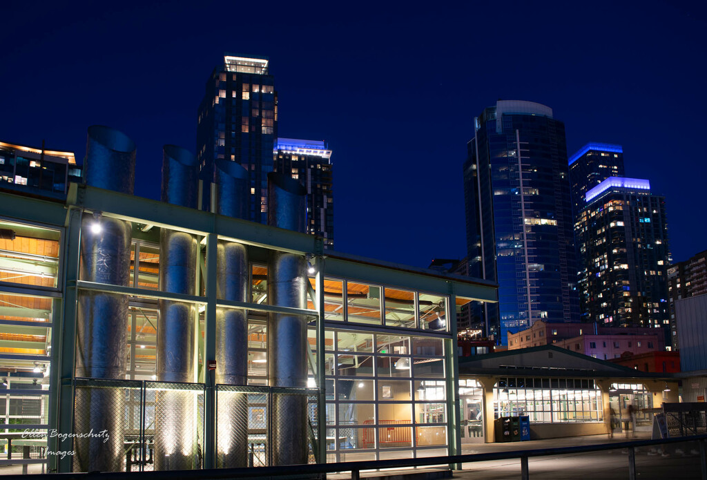 Seattle Blue Hour by theredcamera