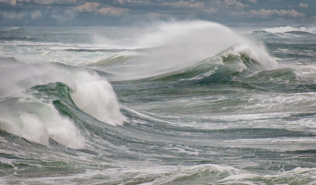 Spindrift ~ Oregon Coast by 365projectorgbilllaing