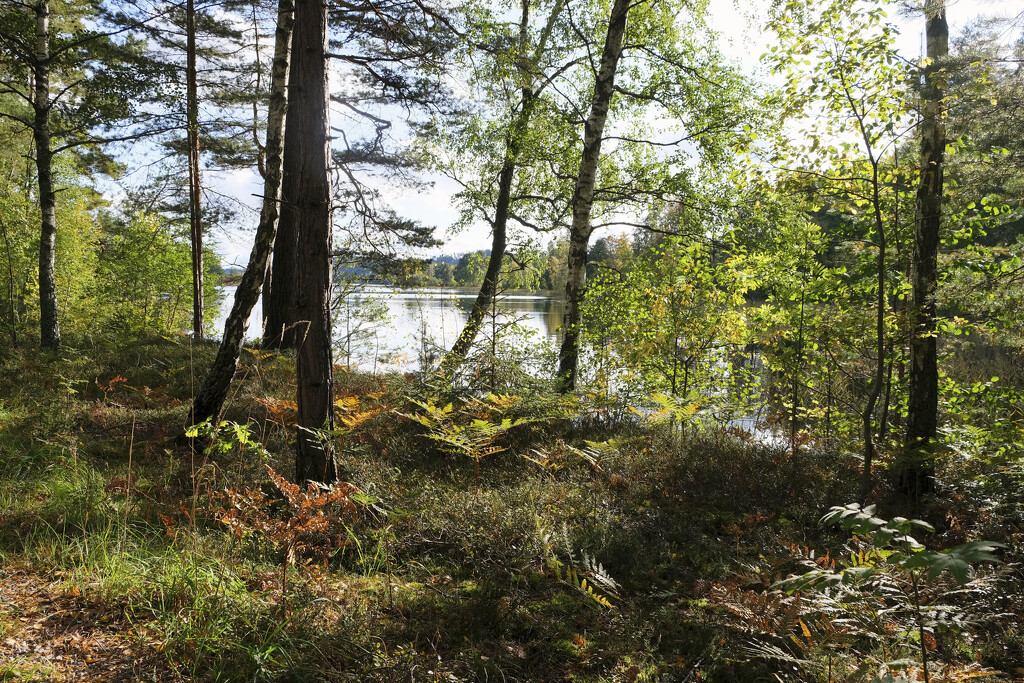 Sweden - Lake Tången by kametty