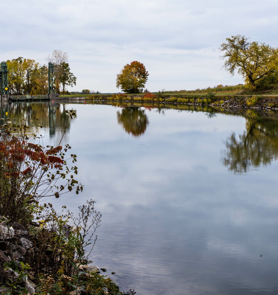 Fall on the Canal by darchibald