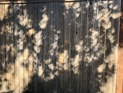 14th Oct 2023 - Towards the end of the Eclipse shadows 