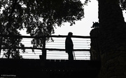 18th Oct 2023 - Person on a bridge