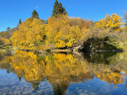 18th Oct 2023 - Fall Reflections