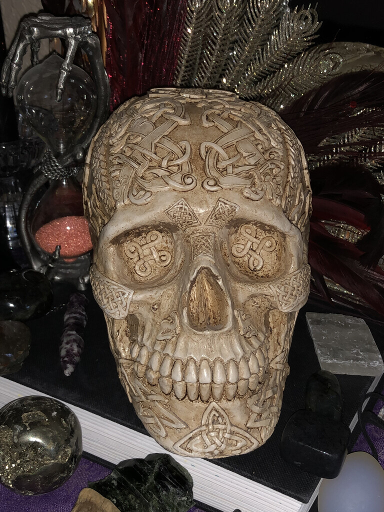 Skull Still Life by metzpah