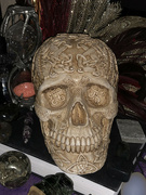 15th Oct 2023 - Skull Still Life