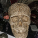 Skull Still Life by metzpah