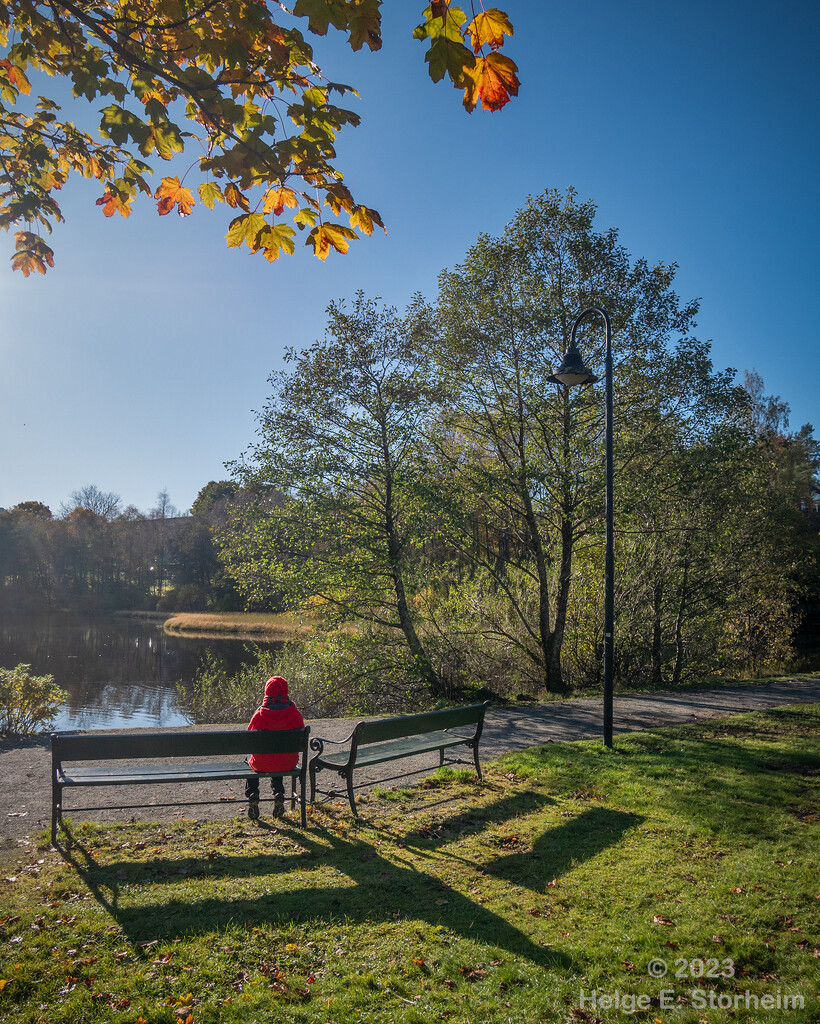 Enjoying a sunny, autumn day by helstor365