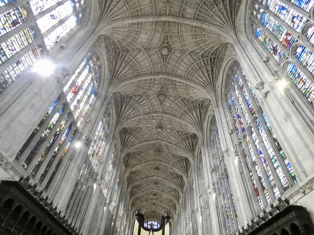 Largest Example of Fan Vaulting by foxes37